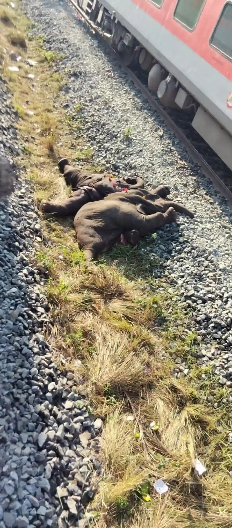 The impact derailed the locomotive and five coaches; miraculously, no passengers were injured.