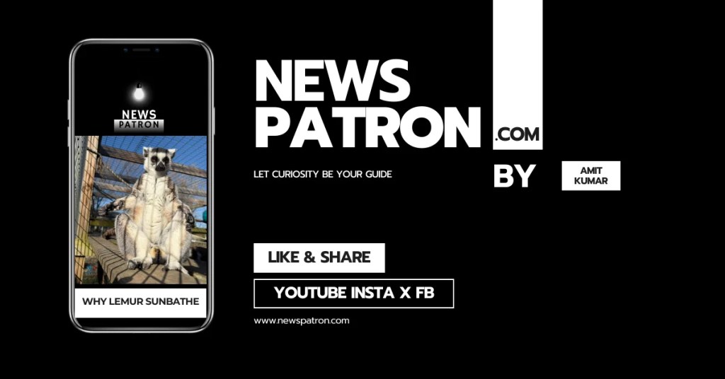 Lemur details in The Soul of the Wild: Why Lemurs Worship the Sun