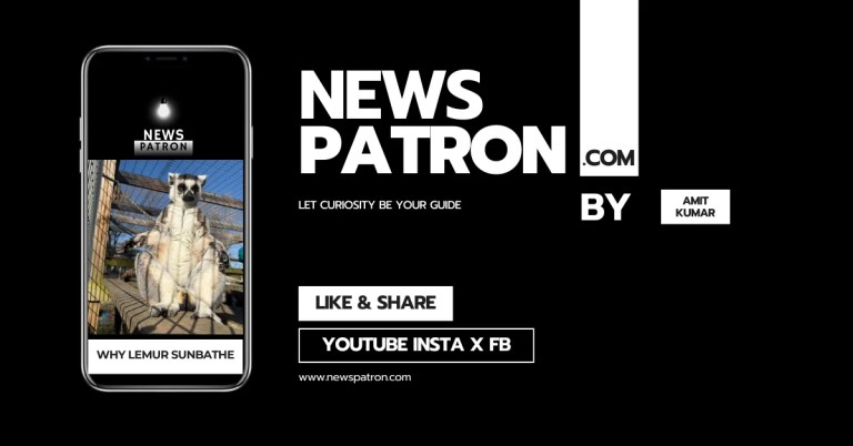 The Soul of the Wild: Why Lemurs Worship the Sun