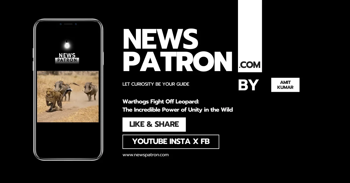 The Ultimate Underdog Story: When Prey Fights Back