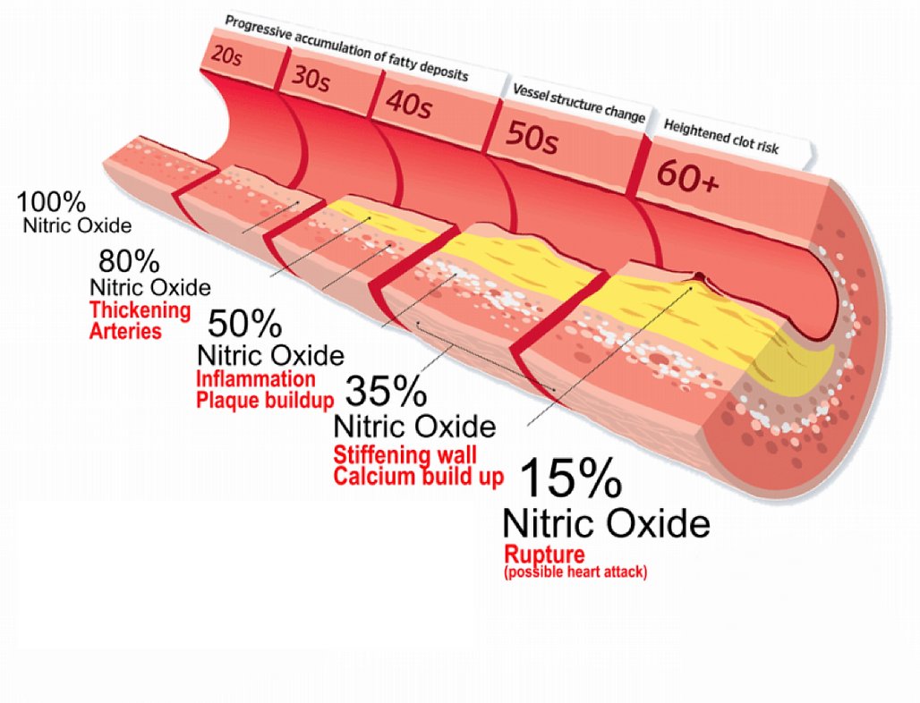 Nasal breathing nitric oxide orgasm improvement