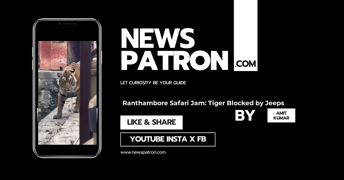 Ranthambore Safari Jam Video 2026: The Tiger Growled. The Jeeps Did Not Move. Now Everyone Is Angry.