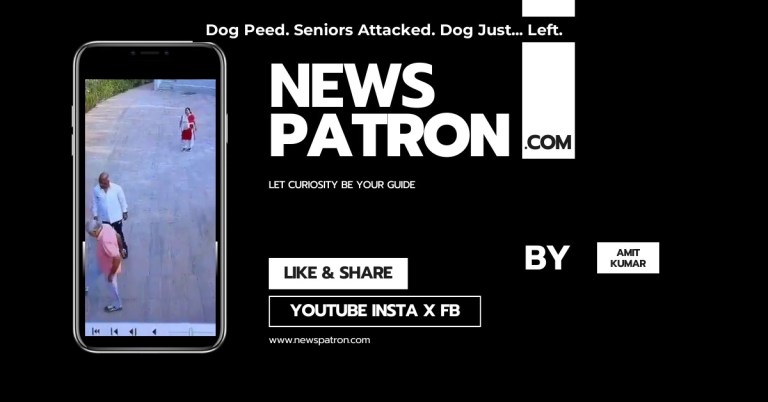 Dog. Pee. Seniors. Chaos. And One Very Wise Dog Who Simply Left.