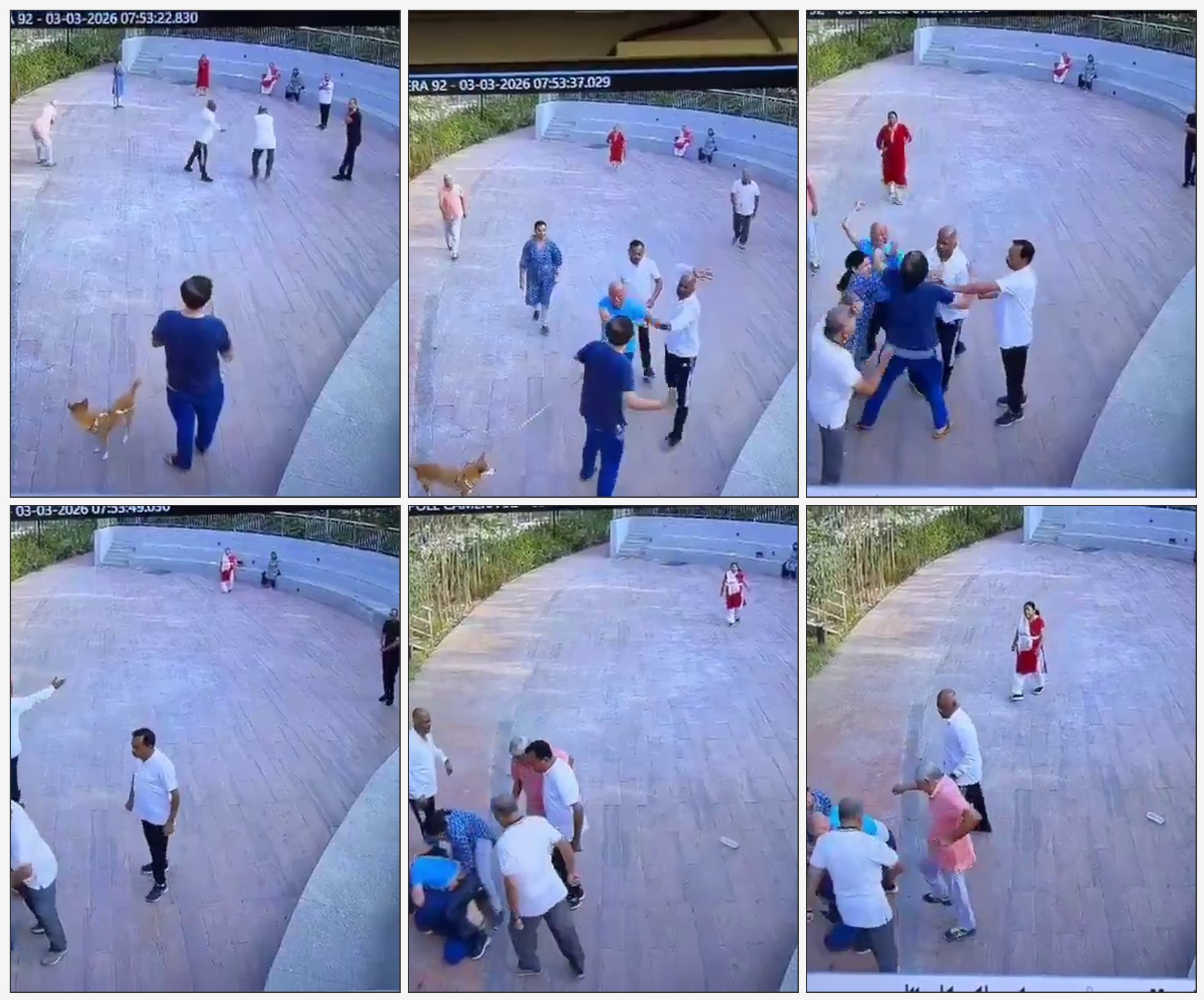 Bengaluru Dog Incident