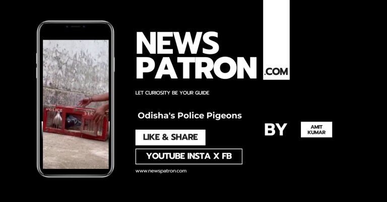 Odisha’s Police Pigeons: The Day Nehru Tested Them And They Outflew His Car