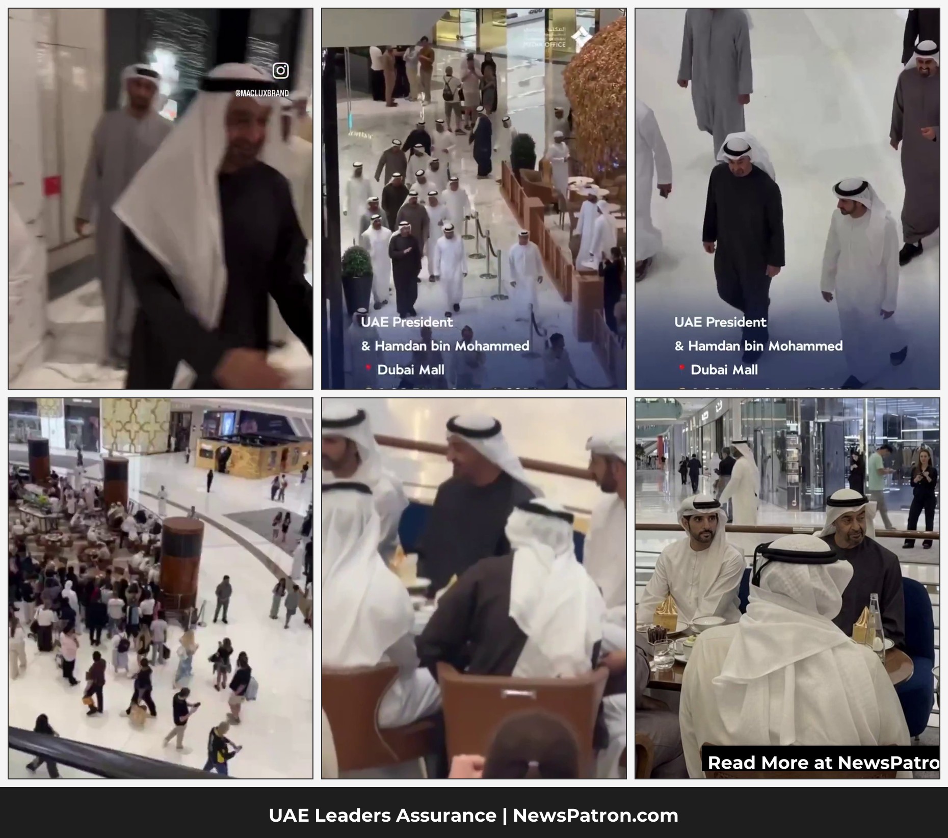 UAE Leaders Public Assurance Collage