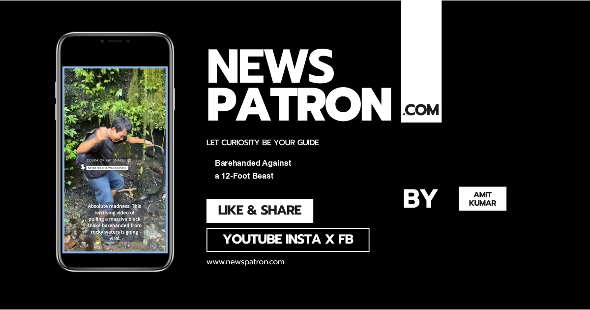 Barehanded Against a 12-Foot Beast: The Bizarre Snake Catch Breaking the Internet
